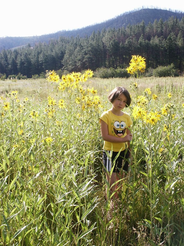 allieflowers222.jpg
