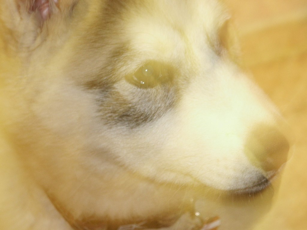 tikizblur2.jpg